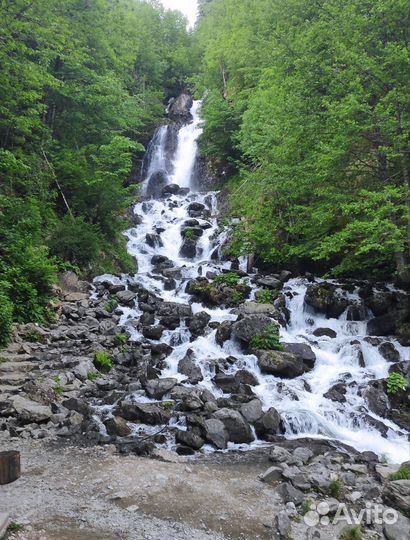 День в Абхазии (экскурсия)