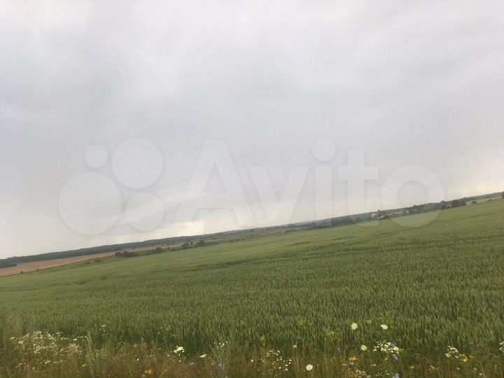 Участок 8,03 га (СНТ, ДНП)