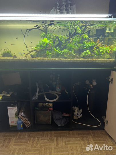 Аквариумный комплекс 225 литров в сборе
