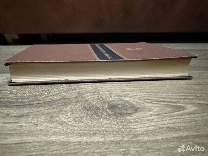 Л.С. Семенов - Из искры возгорится пламя 1985 г