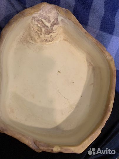 Поилка для рептилий