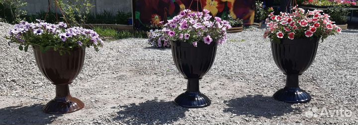 Вазоны.Вазы.Кашпо.Горшки.для цветов из бетона