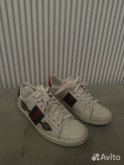 Кеды gucci оригинал