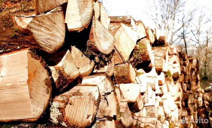 Каминные дрова
