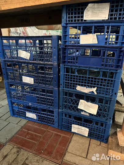 Ящик для хранения