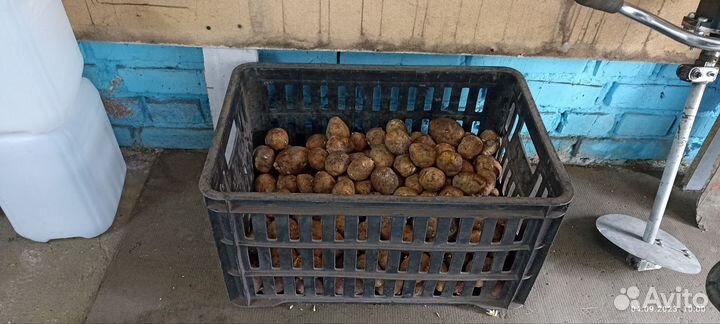 Пластиковые ящики для хранения бу