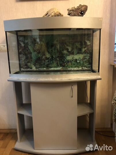 Аквариум