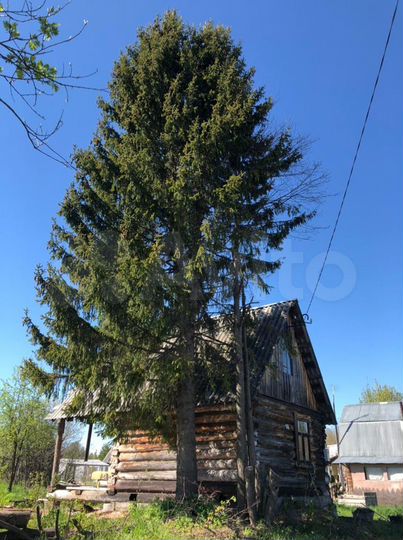 Участок 12,4 сот. (СНТ, ДНП)