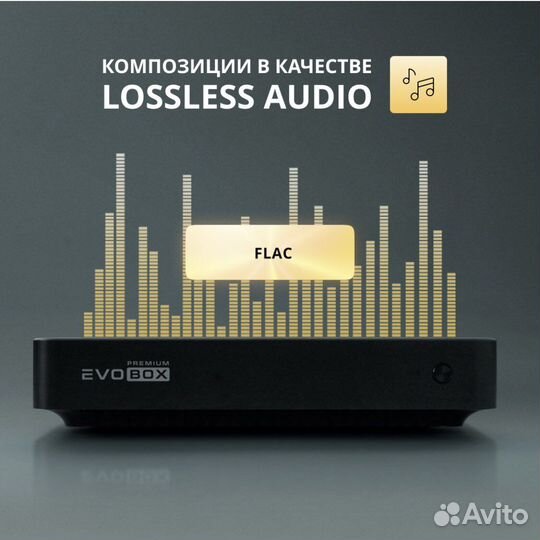 Караоке Evobox Premium