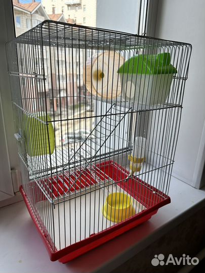 Клетка