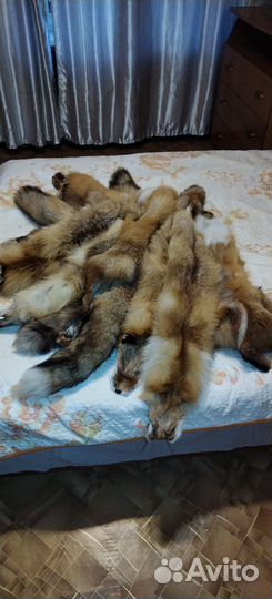 Шкурки лисы