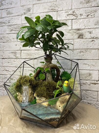 Флорариум бонсай