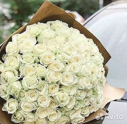 Высокие розы