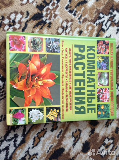 Энциклопедии: фэн-шуй, макияж, комнатные растения