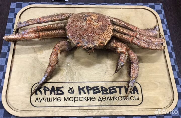 Краб Волосатик