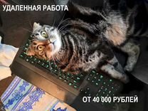 Оператор на удаленку, без продаж, официально