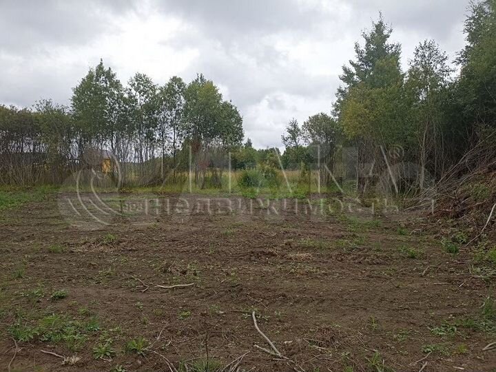 Участок 12,5 сот. (ИЖС)