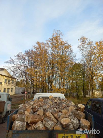 Дрова неколотые