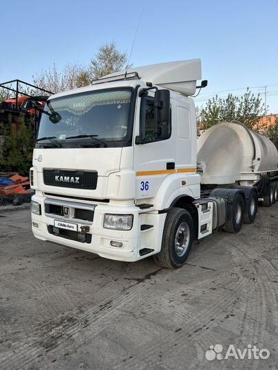 КАМАЗ 65206-Т5, 2018