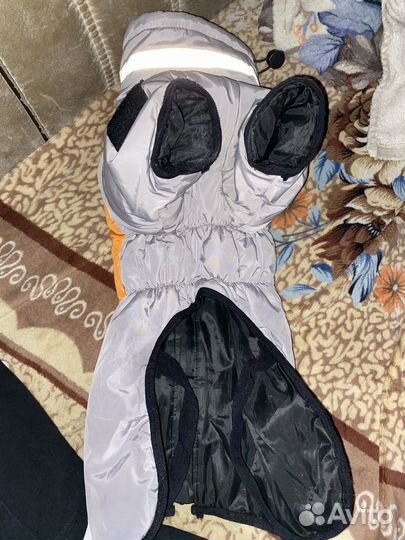 Товары для животных