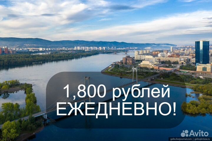 Упаковщик с ежедневной оплатой