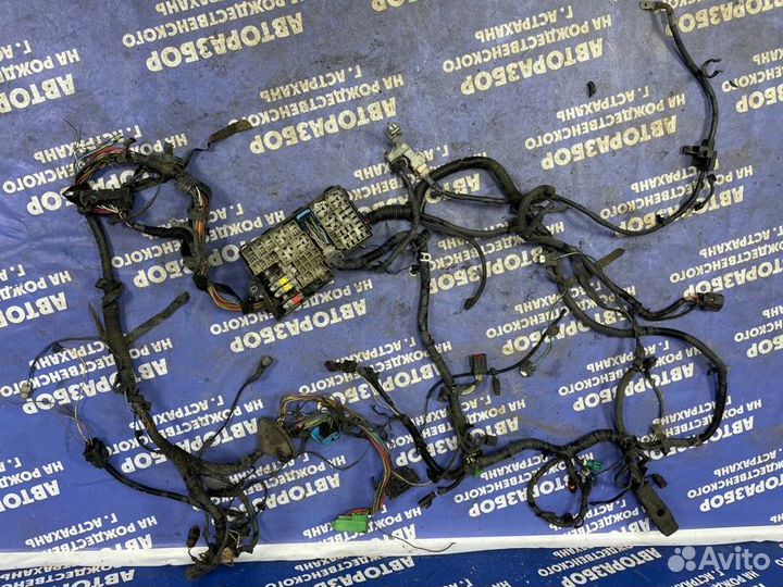 Проводка подкапотная Ford Focus 2 хэтчбек qqdb