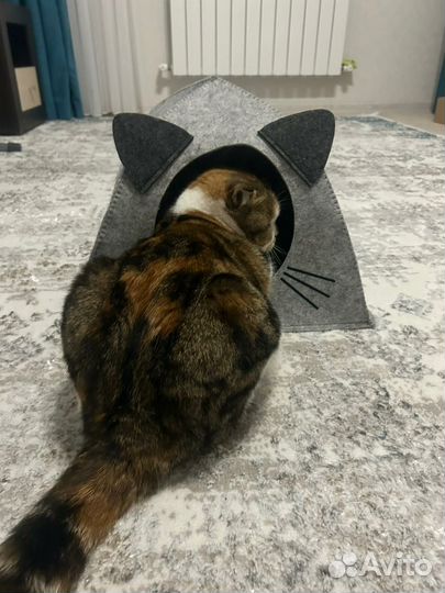 Домик для кошки