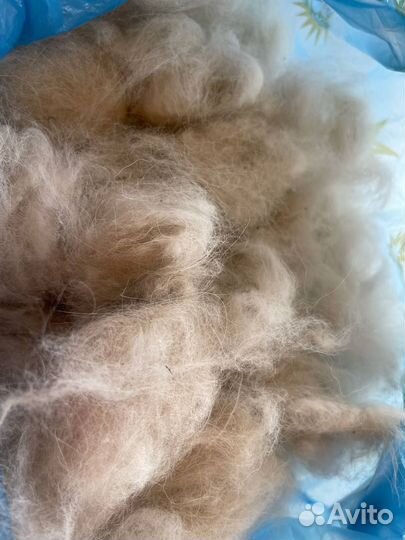 Собачья шерсть пух
