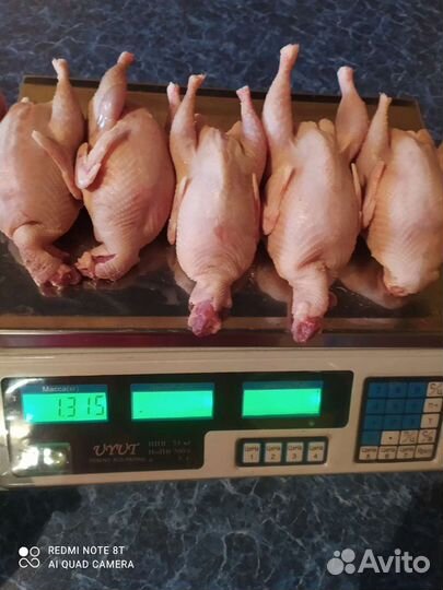 Мясо перепела