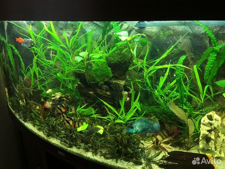 Грот, декор, декорация для аквариума