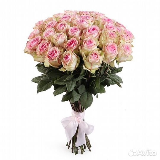 Роза Esperance 80 см