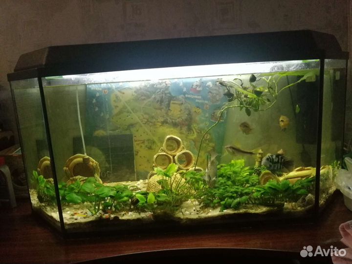 Аквариум панорамный 150 л