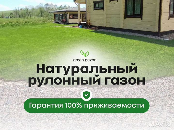 Качественный газон под ключ