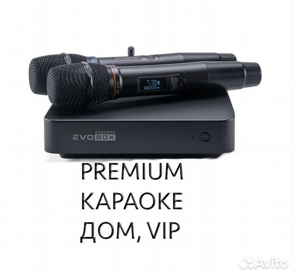 Premium Караоке для дома или VIP 2 микро новое