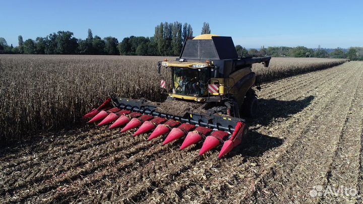 Жатка CAPELLO Diamant D8, 2024