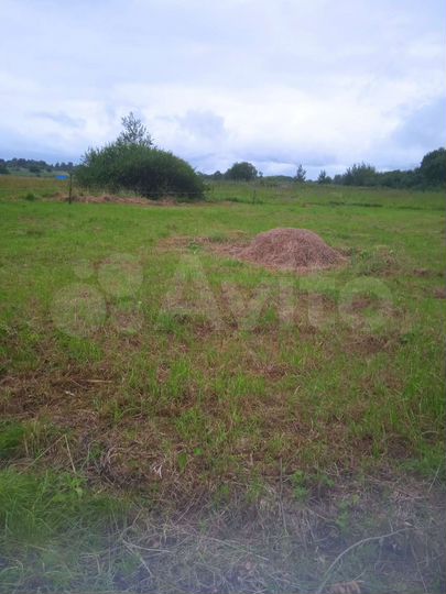 Участок 9,8 сот. (ИЖС)