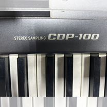 Casio CDP 100