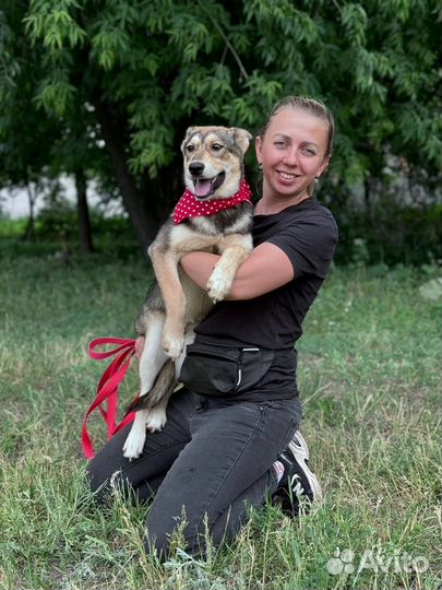 Катя, очаровательная ищет дом