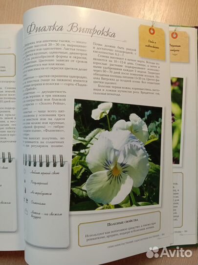 Комнатные растения Татьяна Князева Дарья Князева