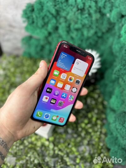 iPhone Xr, 64 ГБ