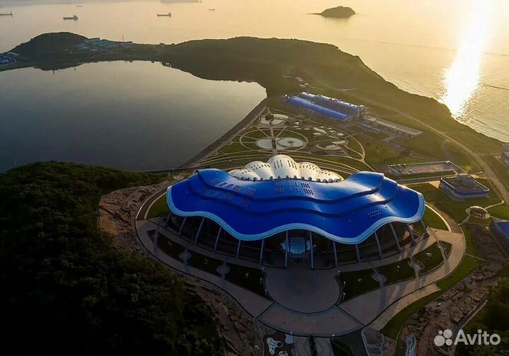 Индивидуальные экскурсии Владивосток и Приморье