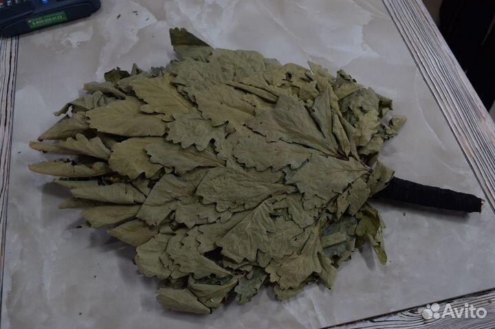 Кавказский дубовый веник 