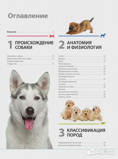 Собаки. Подарочная иллюстрированная энциклопедия Ш