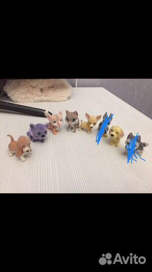 Киндер животные собаки и птицы Pet Zoo Обмен