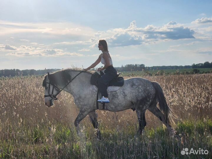 Прогулки на лошадях