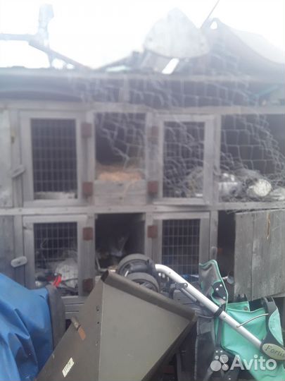 Клетки для кроликов