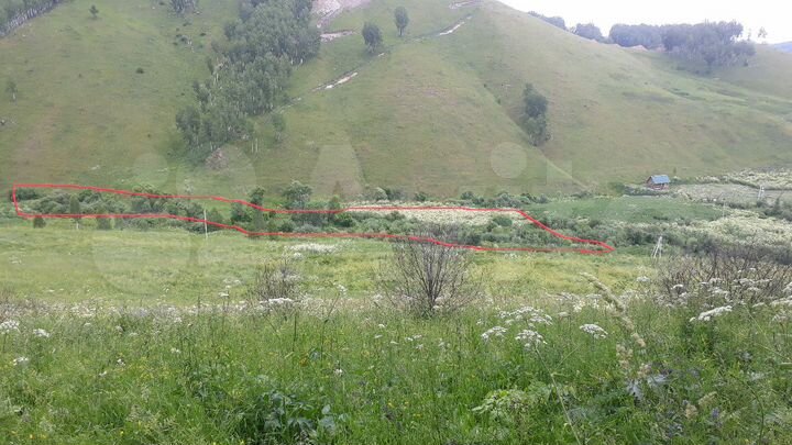 Участок 11 га (СНТ, ДНП)