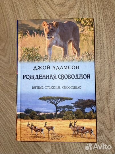 Книги разные Ренсом Риггз, Братз, Казан