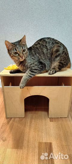 Домик для шиншилл или других грызунов