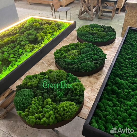 Панно круглое из мха